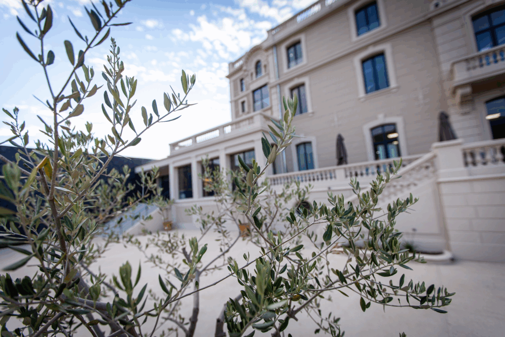 Le château SaintAntoine, un lieu de culture à Marseille Le château
